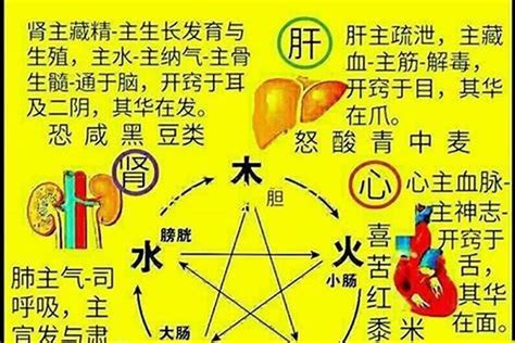 木火名字|木火组合的好名字大全(带火和木的名字)